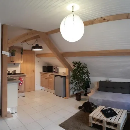 Douillet Avec Vue Sur Les Montagnes Apartment