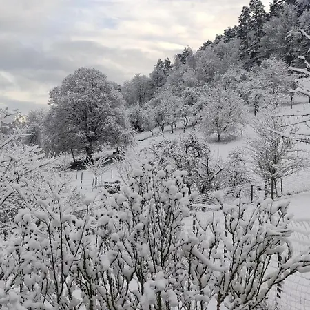 Douillet Avec Vue Sur Les Montagnes