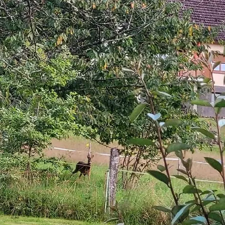 Douillet Avec Vue Sur Les Montagnes