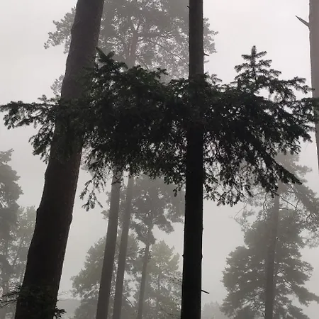 Douillet Avec Vue Sur Les Montagnes Daire *