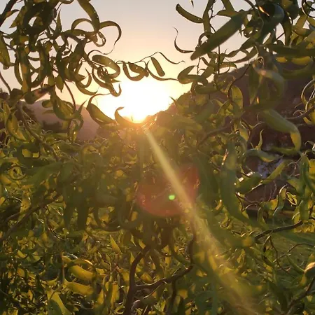 Douillet Avec Vue Sur Les Montagnes Daire Fouchy