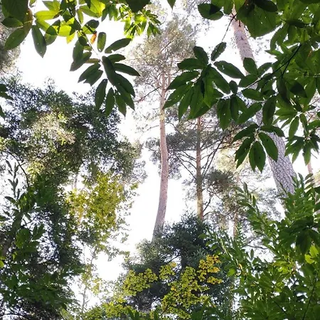 Douillet Avec Vue Sur Les Montagnes * Fouchy