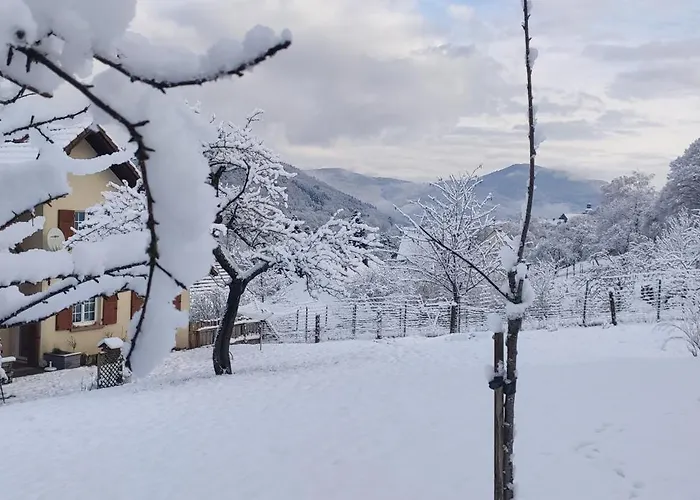 Douillet Avec Vue Sur Les Montagnes Fouchy