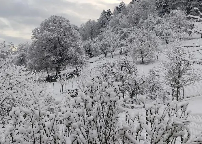 Douillet Avec Vue Sur Les Montagnes
