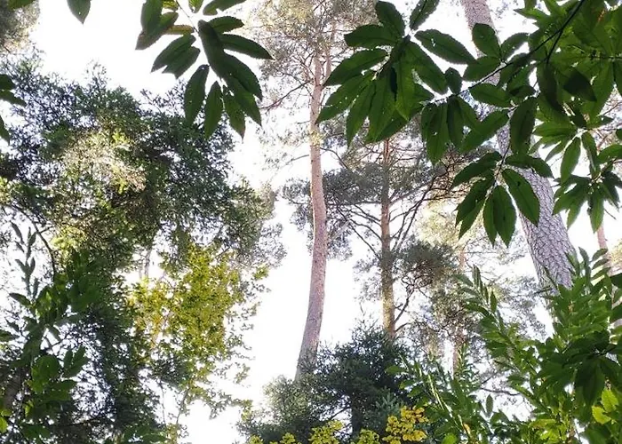 Douillet Avec Vue Sur Les Montagnes * Fouchy